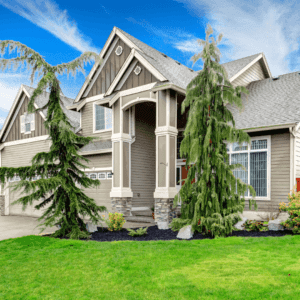 On-Time and Within Budget