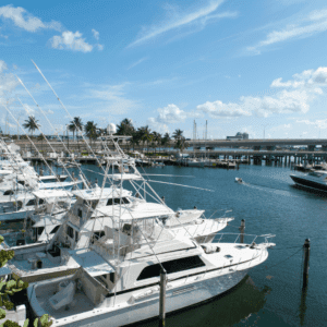 sunny sea with boats