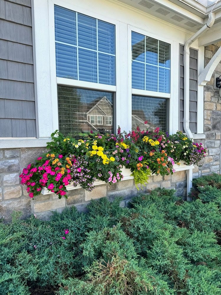 window to opportunity